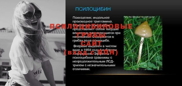 эйфоретик Кукмор