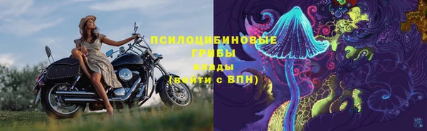 спайс Кулебаки