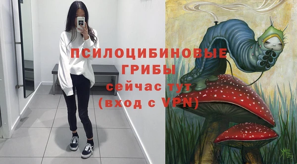 спайс Кулебаки