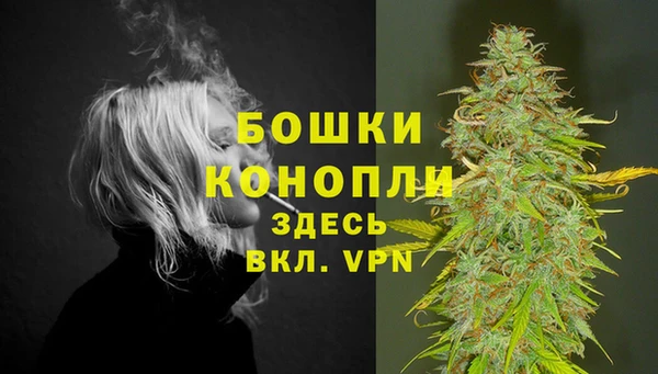спайс Кулебаки