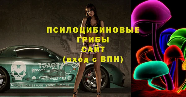 эйфоретик Кукмор