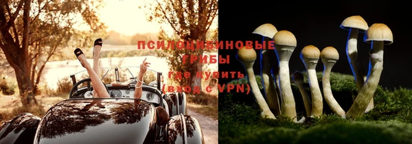 спайс Кулебаки